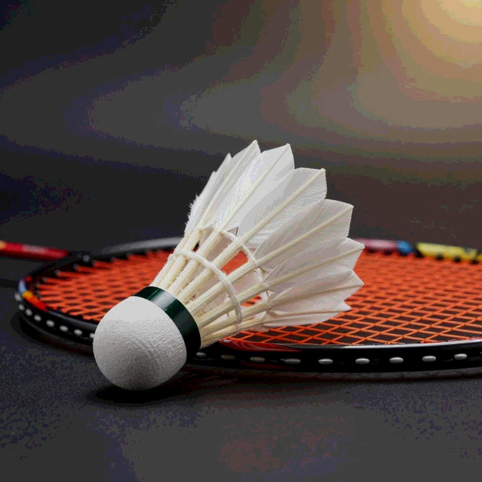 আন সেয়ং-এর দেয়াল, মিয়াজাকির ছায়া: এশিয়ান গেমস ২০২৬-এ সিন্ধুর পাঁচ প্রতিপক্ষের আসল মানচিত্র